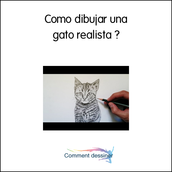 Como dibujar una gato realista